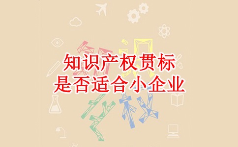 蘇州知識產(chǎn)權(quán)貫標(biāo)，蘇州科技項(xiàng)目咨詢公司知識產(chǎn)權(quán)貫標(biāo)是否適合小企業(yè)