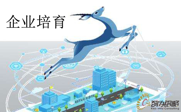 蘇州市科創板上市后備企業培育計劃