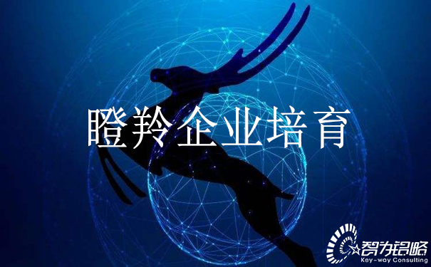 關于實施瞪羚企業培育工程的若干意見