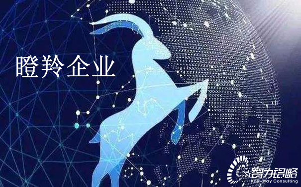 關于印發《江蘇省瞪羚企業培育實施方案》通知