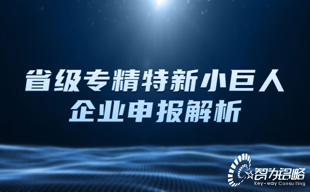 省級專精特新小巨人企業(yè)申報(bào)解析.jpg
