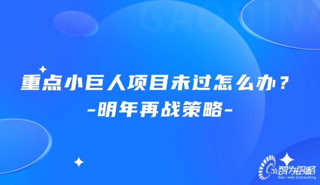重點小巨人項目未過怎么辦？明年再戰(zhàn)策略.jpg