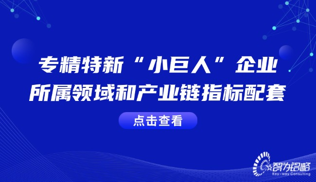 專(zhuān)精特新“小巨人”企業(yè)的所屬領(lǐng)域和產(chǎn)業(yè)鏈指標(biāo)配套.jpg