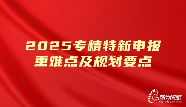 2025專精特新申報重難點及規劃要點.jpg