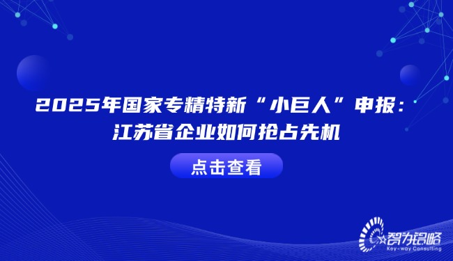 2025年國(guó)家專(zhuān)精特新“小巨人”申報(bào)：江蘇省企業(yè)如何搶占先機(jī).jpg