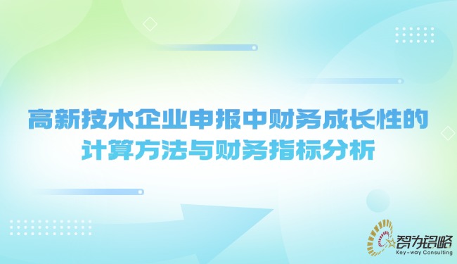 高新技術企業申報中財務成長性的計算方法與財務指標分析.jpg
